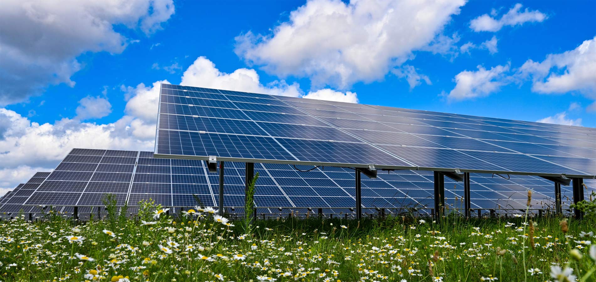 Solar Panel Cleaning in South Jersey | American Mobile Clean